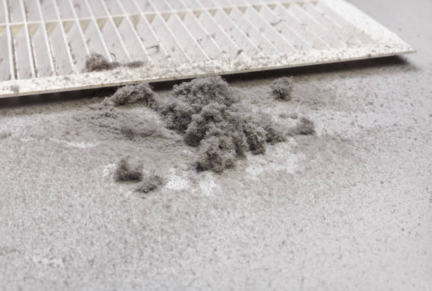 Best Dryer Vent Cleaning Services  in South Pasadena, FL