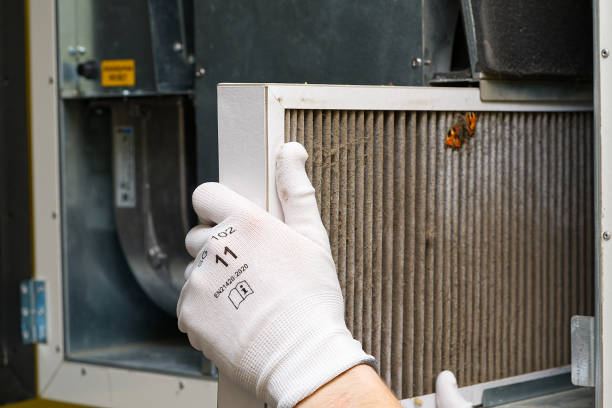 Best Affordable Duct Cleaning Services  in South Pasadena, FL