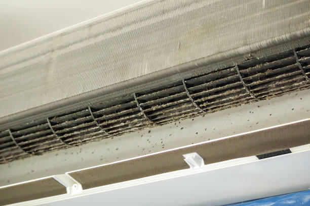 Best Best Air Duct Cleaning Company  in South Pasadena, FL