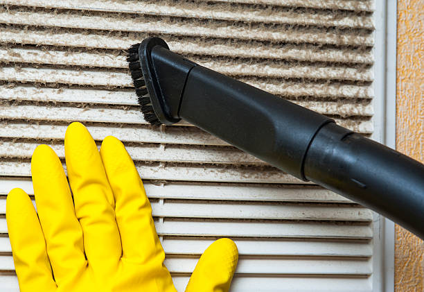Best Ductwork Cleaning Services  in South Pasadena, FL